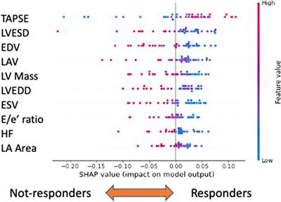 Short-term anti-remodeling effects of gliflozins in diabetic patients with heart failure and reduced ejection fraction: an explainable artificial intelligence approach